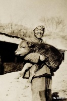 朱文杰：作家与牛｜阅读时光