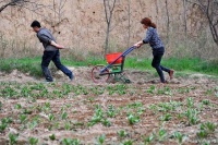 从当前和未来两个角度来看：决定一个家庭兴衰的根本因素是什么？