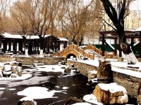 春天就在眼前（随笔）