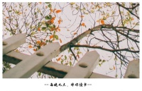 感恩生命中，所有温暖的相遇！