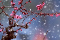 如果你也有难以忘怀的人，就读读这首宋词，一字一句都是思念