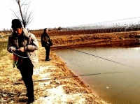 扬蹄老骥再加鞭（诗四首）