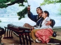 《凤求凰》演绎出精彩人生