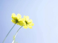 不要着急，最好的总会在最不经意的时候出现