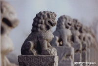 石狮子爱烫头，这可有讲究，法院门口的可不是狮子