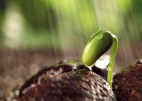 农村俗语“七十三，八十四，阎王不请自己去”