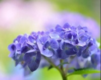 人总要有梦想，因为我们的人生还在继续