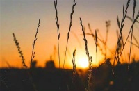 俗语说“人过40，穷不管2事，富不交2人”，两句话教你看透人性