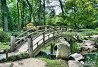 诗歌推荐：秋孕（外二首）——李金成