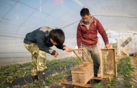 农村俗语，“人到30望子，40望财，50望子”，什么年龄做什么事