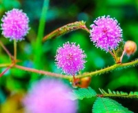 关系再好，也别去捅这几层“窗户纸”，一旦捅破，友谊小船就翻了