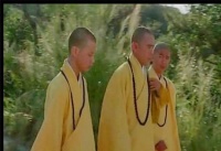 俗语“和尚无儿孝子多”极具讽刺意味，让不孝儿孙羞愧不已，君可知否？