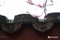 罗西：时间是个收破烂的：小心不要把自己扔给他｜名家阅读