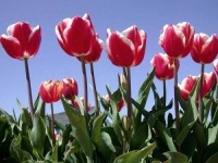 这个世界上，忙碌并不值得炫耀，值得炫耀的是忙碌的有价值！