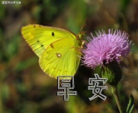 2021早安最美一句话，个性别致，特别暖心！