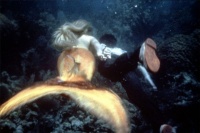 美人鱼真的存在吗？《山海经》中的氐人族，与美人鱼有何关系？