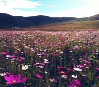 努力一点，是为了让自己多些筹码