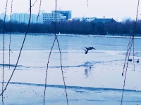 别让人生输给心情