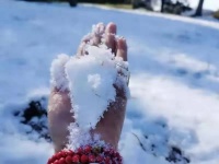 欧文亚隆给我们的咨询启示：看《给心理治疗师的礼物》的受益点滴