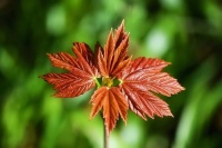 一个人身上的好福气，是在日积月累中，慢慢熏陶出的美好修养