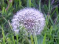 曹向辉：路灯下的希望｜阅读时光