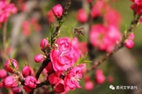 王利萍：只要向前走，就无愧于出发｜阅读时光