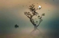 致生活：读书养才气，勤奋养运气，宽厚养大气，淡泊养志气