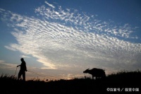 包广杰：时光是个老东西｜新诗荐读