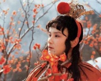 他被认为是《红楼梦》中最多情的公子，但却有这样一个弱点