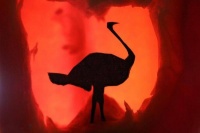 荣昌中学刘欣然同学作品《火鸟》拿下这个大赛区域金奖