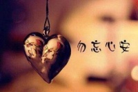 生命的意义 - 《天道》观后感