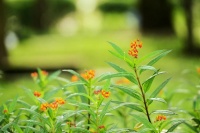 老歌经典大全免费下载