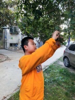 张翊新诗：桂花酿｜河南青作协