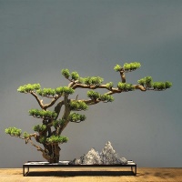 人到老年，对这几种事看破不说破，晚年自然享福