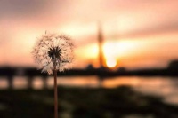 传统文化：人生，就是一场自我的较量。