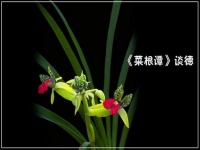 重读《菜根谭》一六、德在人先，利居人后