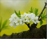 人过五十，及时作出这四个人生决定，安然进入晚年