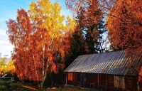 生活如果不宠你，更要自己善待自己；风雨兼程为了遇见最好的自己