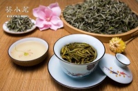 葵小茗白茶的煮茶和泡茶的投茶量该如何确定？