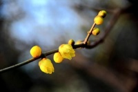 “无能之辈，必有表象”：无能之人，往往有以下四种特征