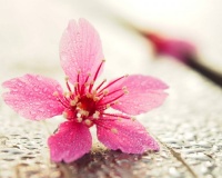 “人若小气，一眼便知”：小气的人，常有这几种生活习惯，需改变