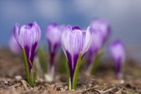 人到四十，不要越过这四个“界限”，避免麻烦事