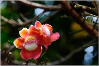 越缺钱的人，越喜欢说这三个“口头禅”，实际上毫无意义