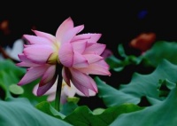 注定不会“贫穷”的人，大多有这几种特征