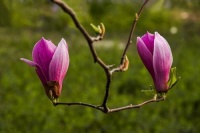 人生越想翻身，越要沉住气