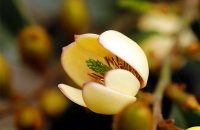 真正值得结交的朋友，往往有这几种“善良”特征