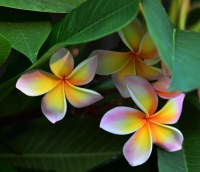 爷爷告诫：男人做事如有这四种习惯，多半不靠谱