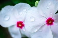 致每一个奋斗中的中年人：你只管努力，时间会给你答案