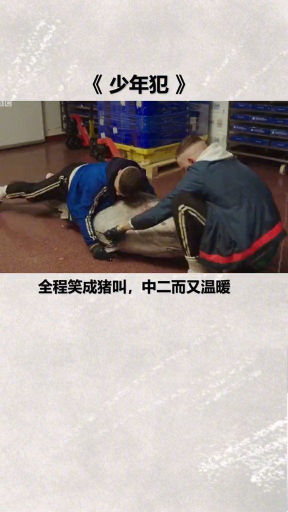 看了你一定会爱上的三部剧电视推荐(1)