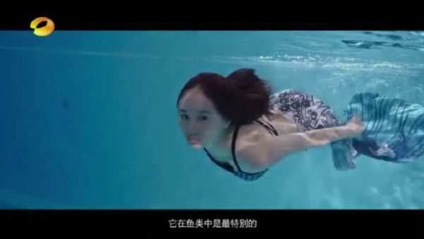 一直都很喜欢王子文，不论是演技还是长相都特别灵动和迷人……